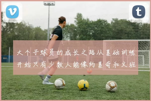 大个子球员的成长之路从基础训练开始只有少数人能像约基奇和文班那样成功