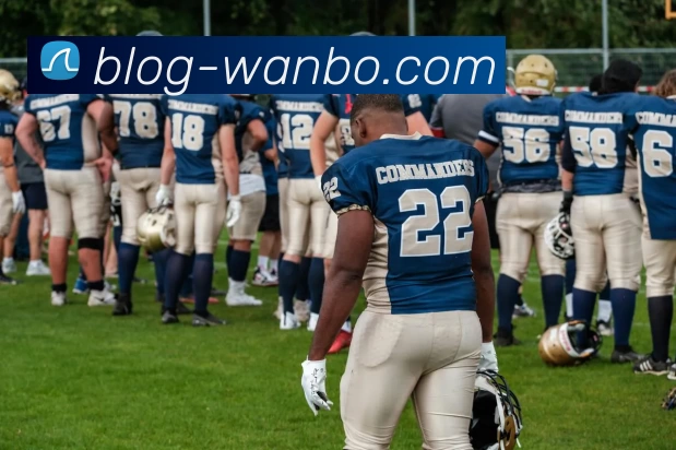 万博体育APP 封面图